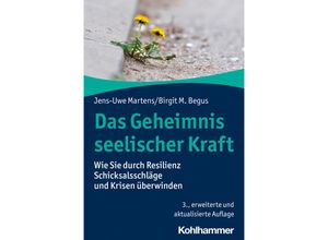 9783170423473 - Das Geheimnis seelischer Kraft - Jens-Uwe Martens Birgit M Begus Kartoniert (TB)