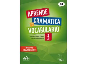 9783194945005 - Aprende gramática y vocabulario - Nueva edición   Aprende gramática y vocabulario 3 - Nueva edición - Francisca Castro Viúdez Pilar Díaz Ballesteros Kartoniert (TB)