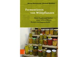 9783205231578 - Fermentieren von Wildpflanzen - Michael Machatschek Elisabeth Mauthner Gebunden