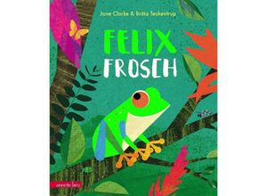 9783219117950 - Felix Frosch - Jane Clarke Gebunden