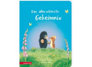 9783219120288 - Das allerschönste Geheimnis - Ein liebevolles Pappbilderbuch über Freundschaft - Jonathan Emmett Pappband