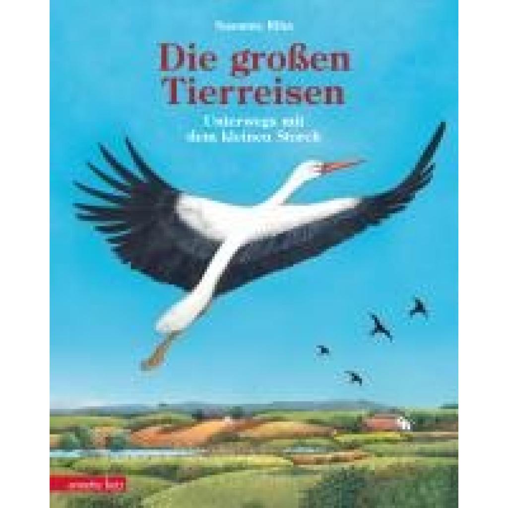 9783219120448 - Riha Susanne Die großen Tierreisen - Unterwegs mit dem kleinen Storch für alle Entdeckerinnen und Entdecker besondere Tiere weite Reisen und spannende Karten