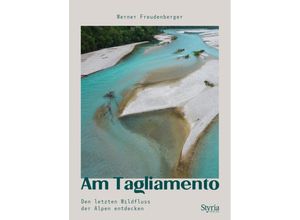 9783222137259 - Am Tagliamento - Werner Freudenberger Kartoniert (TB)