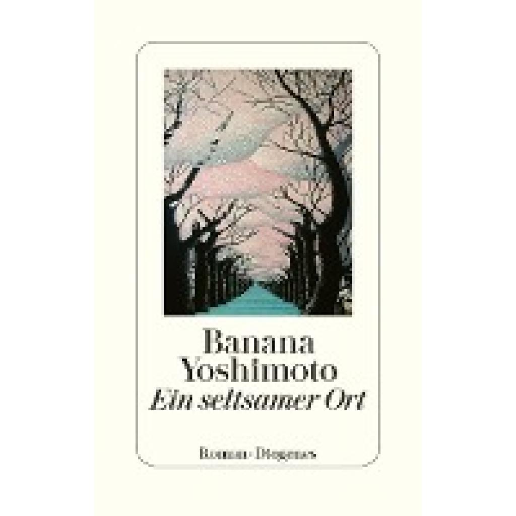 9783257072389 - Yoshimoto Banana Ein seltsamer Ort