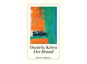 9783257246827 - Daniela Krien - GEBRAUCHT Der Brand (detebe) - Preis vom 21102023 050544 h