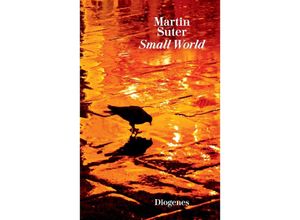 9783257261196 - Small World - Martin Suter Taschenbuch