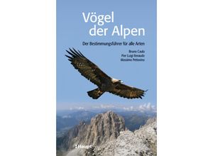 9783258075976 - Vögel der Alpen - Bruno Caula Massimo Pettavino Pier Luigi Beraudo Kartoniert (TB)