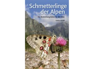 9783258078502 - Schmetterlinge der Alpen - Gianluca Ferretti Kartoniert (TB)