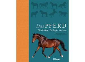 9783258080925 - Das Pferd - Debbie Busby Catrin Rutland Gebunden