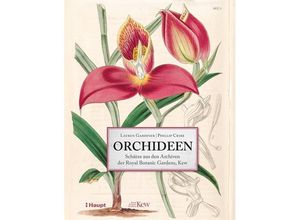 9783258081205 - Orchideen - Lauren Gardiner Phillip Cribb Gebunden