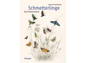 9783258081441 - Schmetterlinge - Das Postkartenbuch