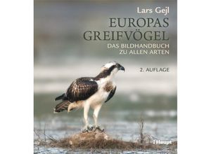 9783258081533 - Europas Greifvögel - Lars Gejl Gebunden