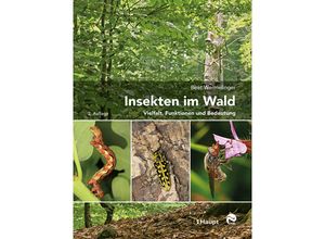 9783258082172 - Insekten im Wald - Beat Wermelinger Gebunden