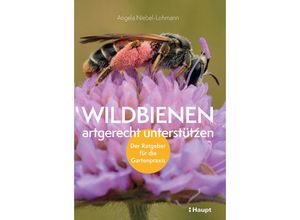 9783258082394 - Wildbienen artgerecht unterstützen - Angela K Niebel-Lohmann Kartoniert (TB)