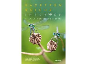 9783258082899 - Facettenreiche Insekten - Martin Husemann Lioba Thaut Frithjof Leopold Viktor Hartung Volker Lohrmann Christina Barilaro Peter Michalik Stefan Iglhaut Kartoniert (TB)