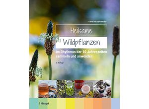 9783258083179 - Heilsame Wildpflanzen - Frank Hecker Katrin Hecker Gebunden