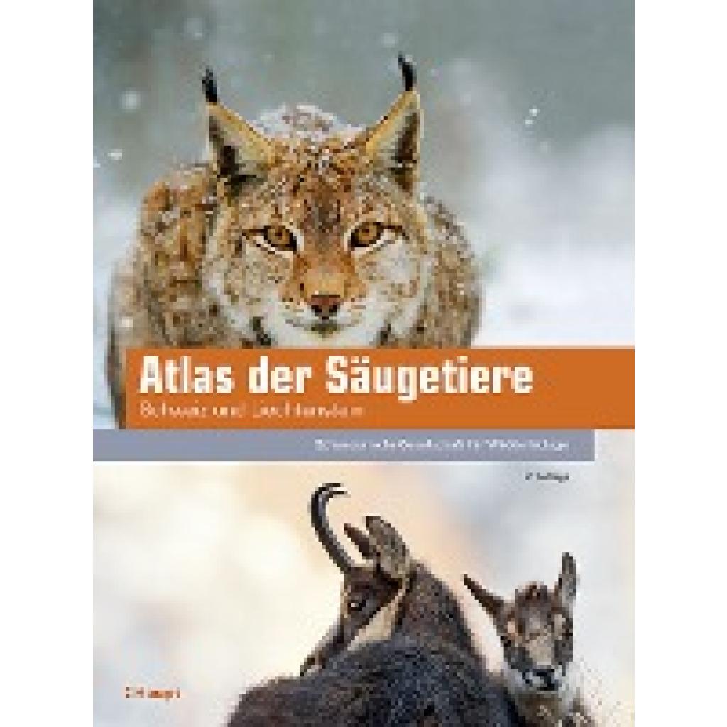 9783258083261 - Atlas der Säugetiere - Schweiz und Liechtenstein