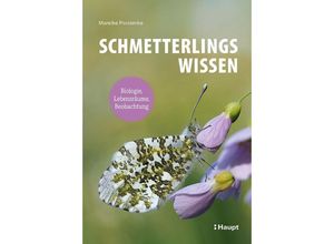 9783258083582 - Schmetterlingswissen - Mareike Possienke Kartoniert (TB)