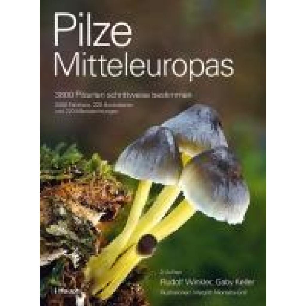 9783258083889 - Winkler Rudolf Pilze Mitteleuropas