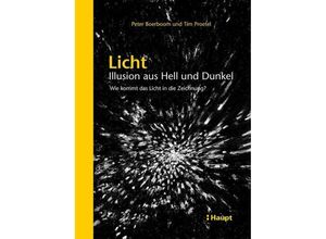 9783258602882 - Licht Illusion aus Hell und Dunkel - Peter Boerboom Tim Proetel Leinen