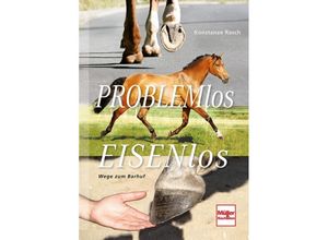 9783275019038 - Problemlos Eisenlos - Konstanze Rasch Gebunden