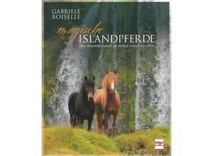 9783275022205 - Magische Islandpferde - Gabriele Boiselle Gebunden