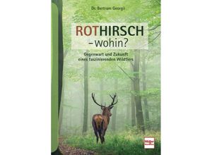 9783275022663 - Rothirsch - wohin? - Bertram Georgii Gebunden