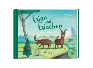 9783314104374 - Gian und Giachen und der Sternschnuppenberg - Amélie Jackowski Gebunden