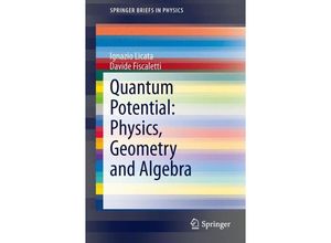 9783319003320 - SpringerBriefs in Physics   Quantum Potential Physics Geometry and Algebra - Ignazio Licata Davide Fiscaletti Kartoniert (TB)