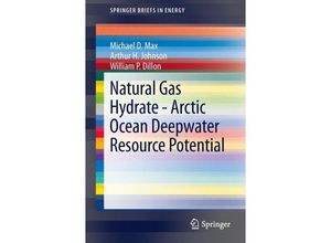 9783319025070 - SpringerBriefs in Energy   Natural Gas Hydrate - Arctic Ocean Deepwater Resource Potential - Michael D Max Arthur H Johnson William P Dillon Kartoniert (TB)