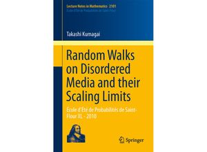 9783319031514 - Random Walks on Disordered Media and their Scaling Limits - Takashi Kumagai Kartoniert (TB)