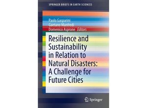 9783319043159 - SpringerBriefs in Earth Sciences   Resilience and Sustainability in Relation to Natural Disasters A Challenge for Future Cities Kartoniert (TB)