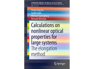 9783319110677 - SpringerBriefs in Molecular Science   Calculations on nonlinear optical properties for large systems Kartoniert (TB)