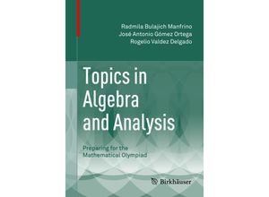 9783319119458 - Topics in Algebra and Analysis - Radmila Bulajich Manfrino José Antonio Gómez Ortega Rogelio Valdez Delgado Kartoniert (TB)