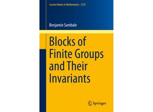 9783319120058 - Blocks of Finite Groups and Their Invariants - Benjamin Sambale Kartoniert (TB)