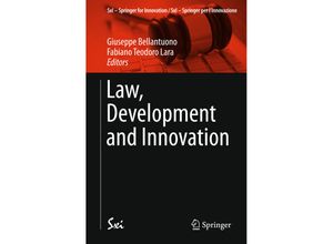 9783319133102 - Law Development and Innovation Kartoniert (TB)