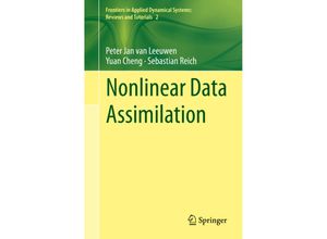 9783319183466 - Nonlinear Data Assimilation - Peter Jan Van Leeuwen Yuan Cheng Sebastian Reich Kartoniert (TB)