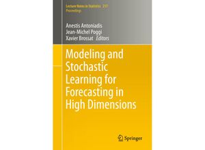 9783319187310 - Modeling and Stochastic Learning for Forecasting in High Dimensions Kartoniert (TB)