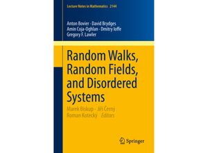 9783319193380 - Random Walks Random Fields and Disordered Systems - Anton Bovier David C Brydges Amin Coja-Oghlan Dmitry Ioffe Gregory F Lawler Kartoniert (TB)