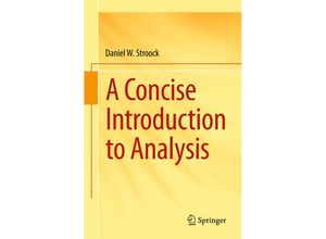 9783319244679 - A Concise Introduction to Analysis - Daniel W Stroock Kartoniert (TB)