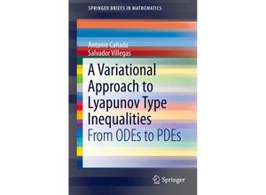 9783319252872 - SpringerBriefs in Mathematics   A Variational Approach to Lyapunov Type Inequalities - Antonio Cañada Salvador Villegas Kartoniert (TB)