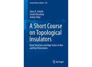 9783319256054 - A Short Course on Topological Insulators - János K Asbóth László Oroszlány András Pályi Kartoniert (TB)