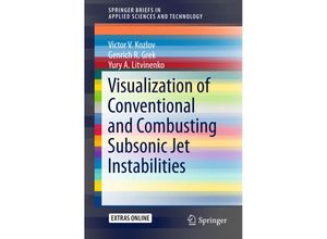 9783319269573 - SpringerBriefs in Applied Sciences and Technology   Visualization of Conventional and Combusting Subsonic Jet Instabilities - Victor V Kozlov Genrich R Grek Yury A Litvinenko Kartoniert (TB)