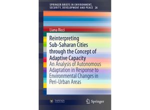 9783319271248 - Reinterpreting Sub-Saharan Cities through the Concept of Adaptive Capacity - Liana Ricci Kartoniert (TB)