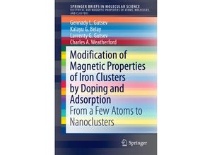 9783319278841 - SpringerBriefs in Molecular Science   Modification of Magnetic Properties of Iron Clusters by Doping and Adsorption - Gennady L Gutsev Charles A Weatherford Lavrenty G Gutsev Kalayu G Belay Kartoniert (TB)