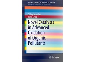 9783319289489 - SpringerBriefs in Molecular Science   Novel Catalysts in Advanced Oxidation of Organic Pollutants - Süheyda Atalay Gülin Ersöz Kartoniert (TB)