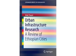 9783319304014 - SpringerBriefs in Geography   Urban Infrastructure Research - Alok Tiwari Kartoniert (TB)