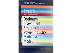 9783319318714 - SpringerBriefs in Applied Sciences and Technology   Optimum Investment Strategy in the Power Industry - Ryszard Bartnik Berenika Bartnik Anna Hnydiuk-Stefan Kartoniert (TB)