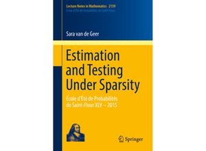 9783319327730 - Estimation and Testing Under Sparsity - Sara van de Geer Kartoniert (TB)