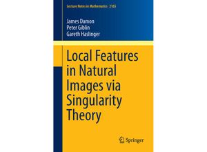 9783319414706 - Local Features in Natural Images via Singularity Theory - James Damon Peter Giblin Gareth Haslinger Kartoniert (TB)